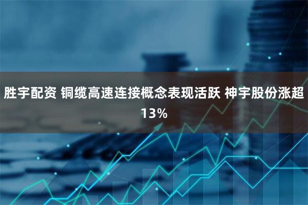 胜宇配资 铜缆高速连接概念表现活跃 神宇股份涨超13%