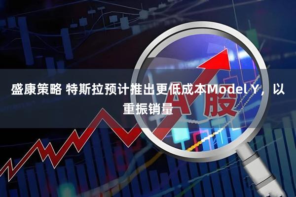 盛康策略 特斯拉预计推出更低成本Model Y，以重振销量
