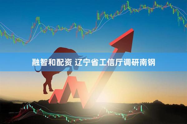 融智和配资 辽宁省工信厅调研南钢