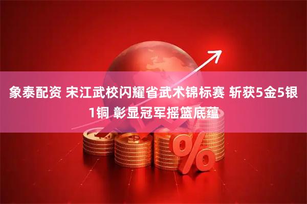 象泰配资 宋江武校闪耀省武术锦标赛 斩获5金5银1铜 彰显冠军摇篮底蕴